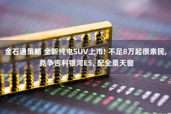 金石通策略 全新纯电SUV上市! 不足8万起很亲民, 竞争吉利银河E5, 配全景天窗