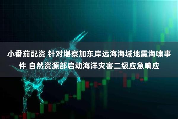 小番茄配资 针对堪察加东岸远海海域地震海啸事件 自然资源部启动海洋灾害二级应急响应