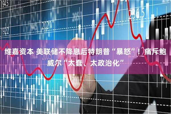 维嘉资本 美联储不降息后特朗普“暴怒”！痛斥鲍威尔“太蠢、太政治化”