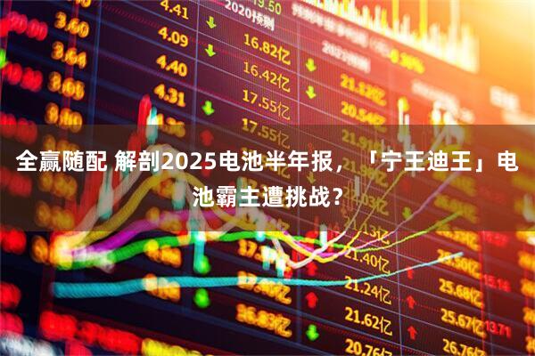 全赢随配 解剖2025电池半年报，「宁王迪王」电池霸主遭挑战？
